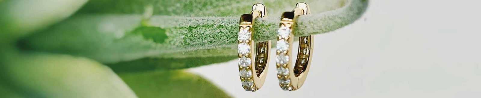 Gold Plated Traditional Hoop Earrings with Stone and Pearls for Women and  Girls at Rs 165/pair | Raispur | Ghaziabad | ID: 2851525763762